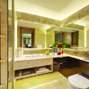 Commonwelath Towers Vanity Cabinet Mirror2