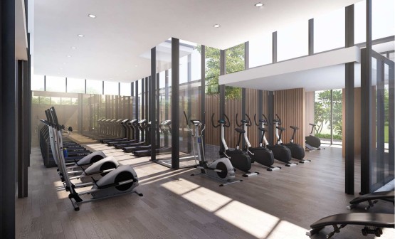 Gym 3