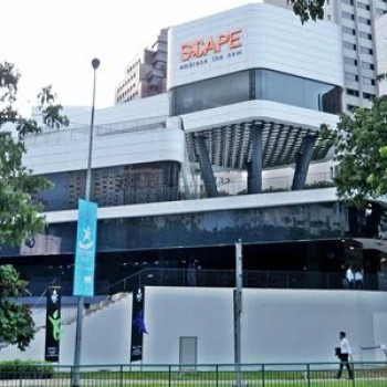 Scape Equilibrium Gym